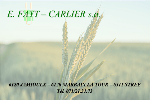 Fayt-Carlier